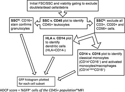 Impact of <mark class="highlighted">IgG Isotype</mark> on the Induction of Antibody-Dependent Cellular Phagocytosis of HIV by Human Milk Leukocytes